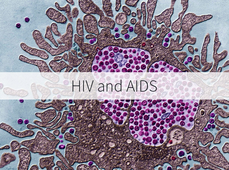 HIV information