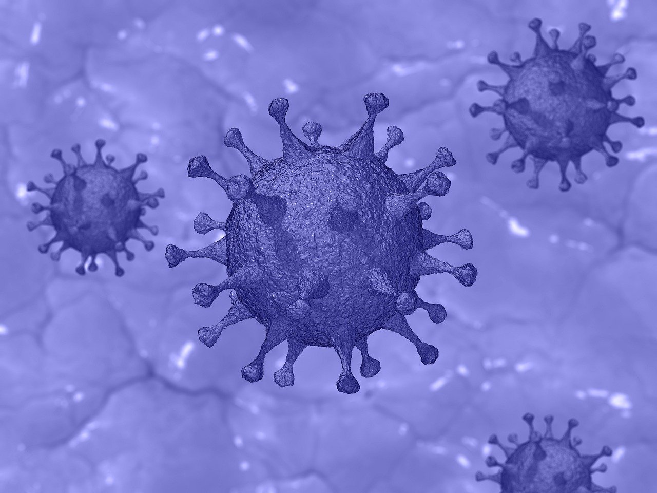 Coronavirus Lockdown May Help Reduce The Spread of STDs Image
