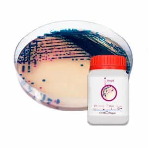 CHROMagar StrepB 5000 ml